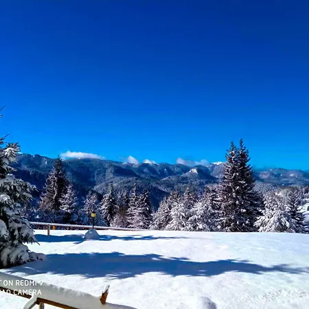 Panorama View-stoykite