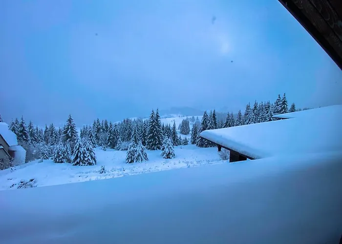 Panorama View-stoykite Apartment Stoykite