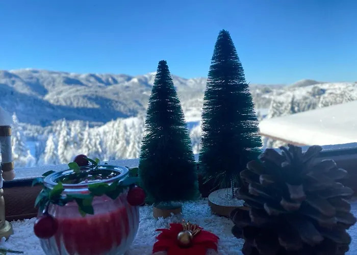 Panorama View-stoykite Apartment Stoykite