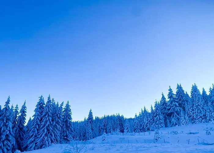 Apartment Panorama View-stoykite Stoykite